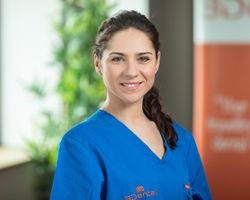 Dr. Carmen Anastasiu Profile Image